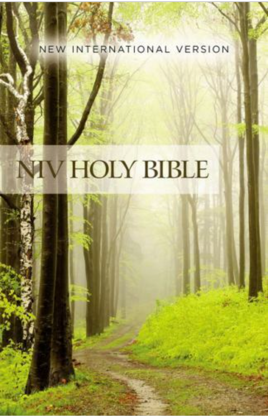 NIV Value Outreach Bible [Green Forest] by Zondervan (2017, Trade Paperback,...