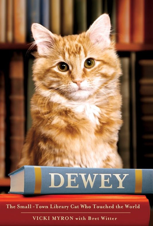 Dewey: The Small-Town Library Cat Who Touched the World